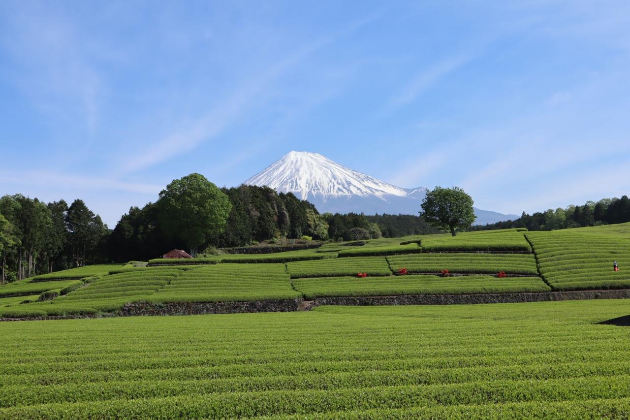 富士山フリー素材